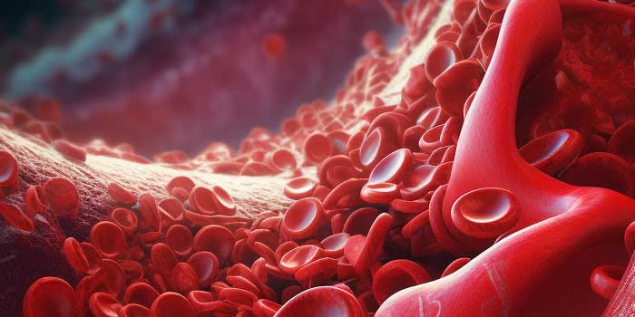 Colesterol Alto e Saúde Vascular: uma jornada silenciosa rumo ao perigo